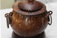 Coconut-KitulTalipot-Palmyra-related-පොල්-කිතුල්-තල-තල්-ගස්-ආශ්‍රිත-7